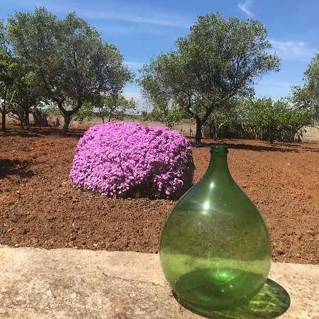 La Casa Di Sergio Bed & Breakfast