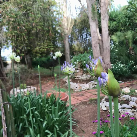 Oda ve Kahvaltı La Casa Di Sergio