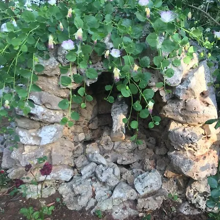 La Casa Di Sergio Bed & Breakfast *