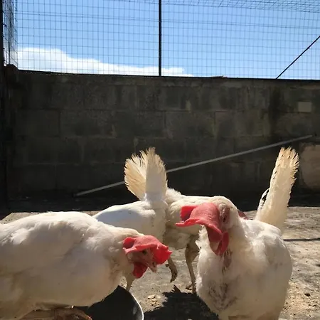 La Casa Di Sergio Brindisi