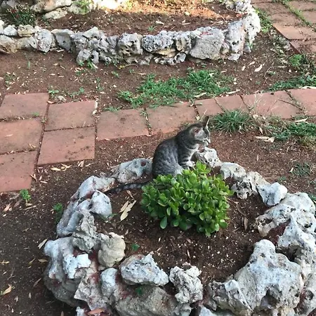 La Casa Di Sergio 4* Μπρίντιζι