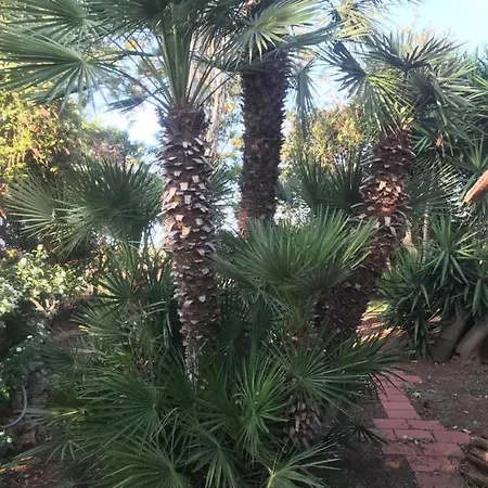 La Casa Di Sergio Μπρίντιζι