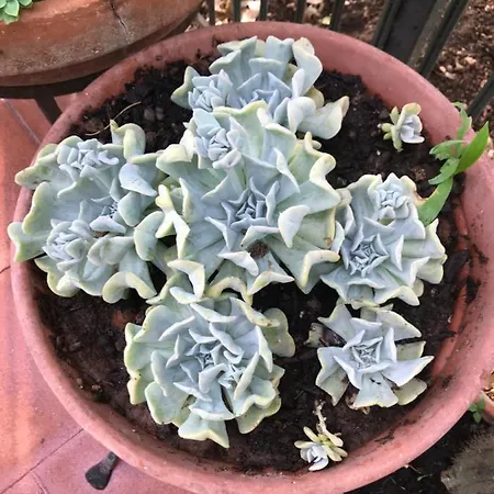 La Casa Di Sergio 4*