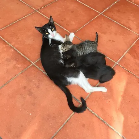 La Casa Di Sergio 4* Μπρίντιζι