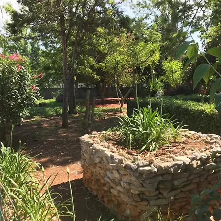 La Casa Di Sergio Bed and Breakfast 4*