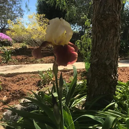 La Casa Di Sergio Bed and Breakfast Μπρίντιζι