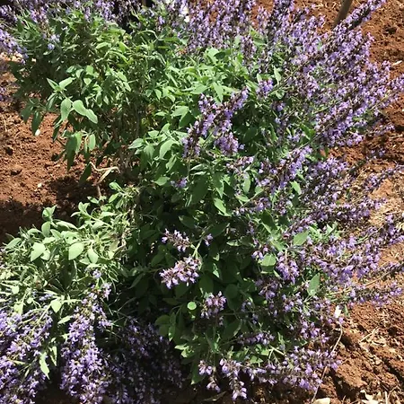 La Casa Di Sergio 4*