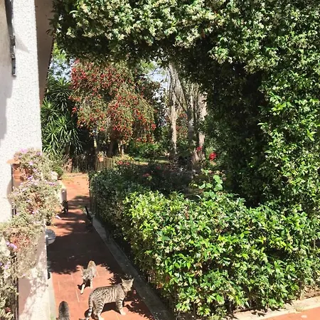 La Casa Di Sergio Bed & Breakfast *