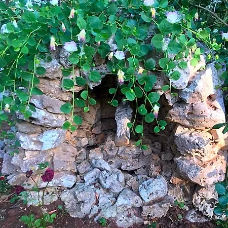 La Casa Di Sergio Bed & Breakfast