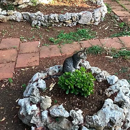 לינה וארוחת בוקר La Casa Di Sergio ברינדיזי