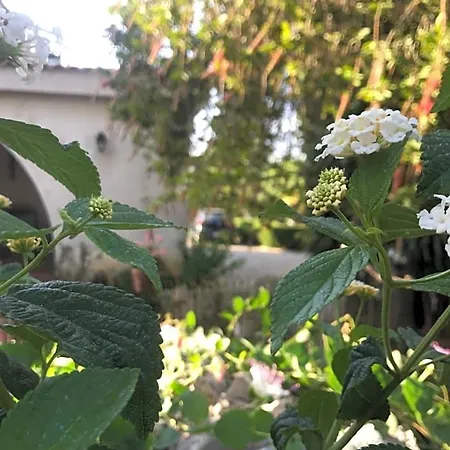 לינה וארוחת בוקר La Casa Di Sergio ברינדיזי