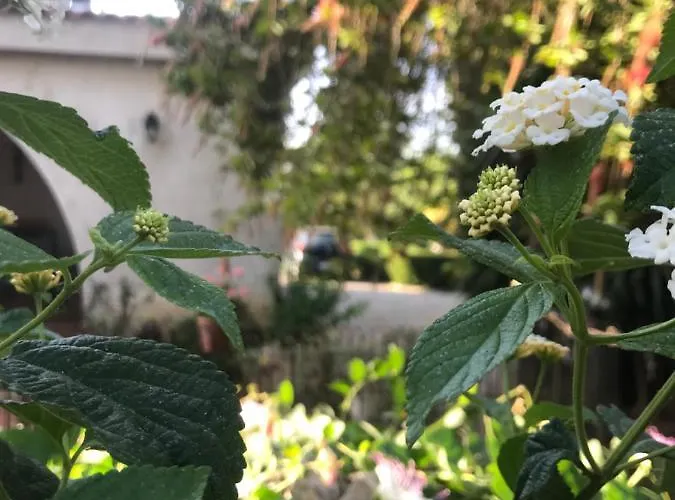 La Casa Di Sergio ベッド・アンド・ブレックファスト