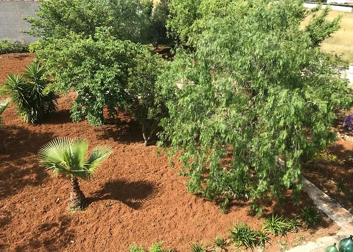 La Casa Di Sergio ベッド・アンド・ブレックファスト ブリンディジ