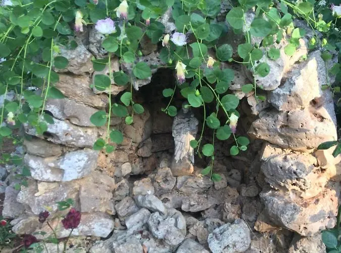 La Casa Di Sergio ベッド・アンド・ブレックファスト 4*