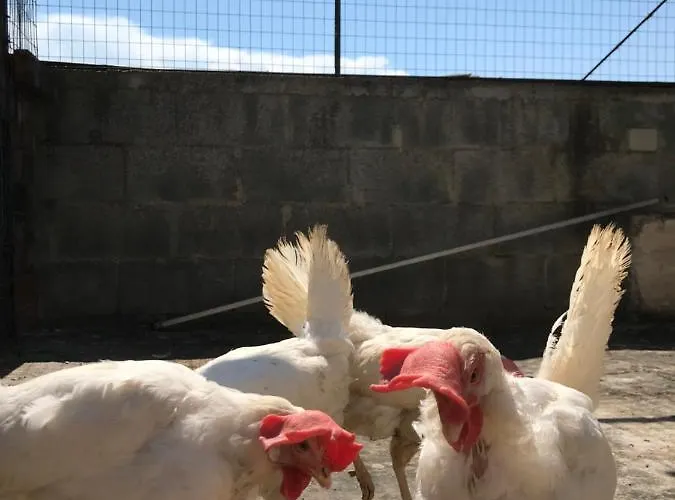 La Casa Di Sergio ブリンディジ