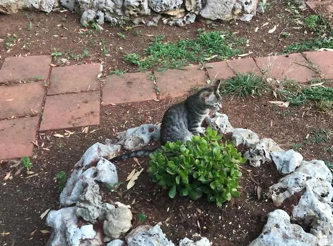 La Casa Di Sergio 4* ブリンディジ