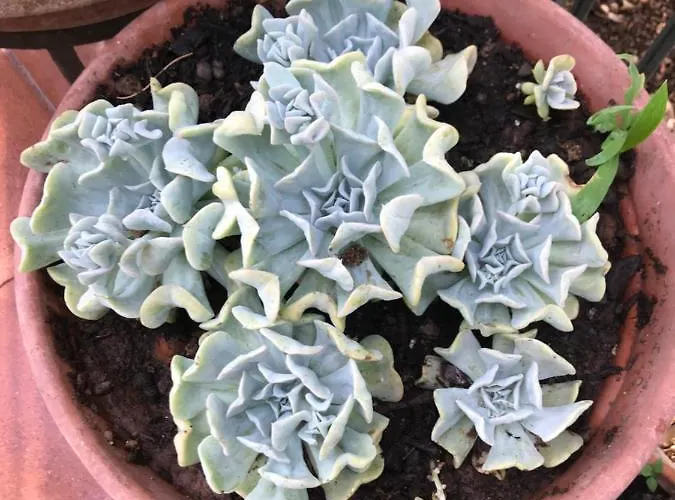 La Casa Di Sergio 4*