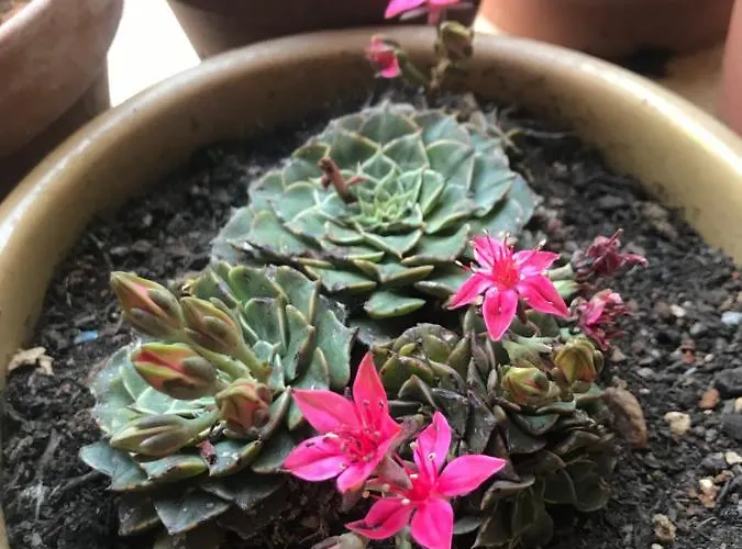 ベッド・アンド・ブレックファスト La Casa Di Sergio ブリンディジ