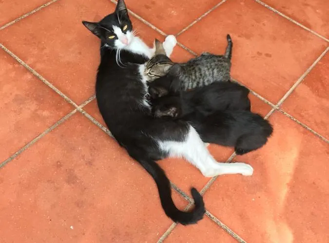 La Casa Di Sergio 4* ブリンディジ